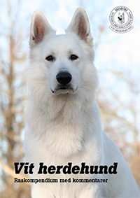 Raskompendie vit herdehund